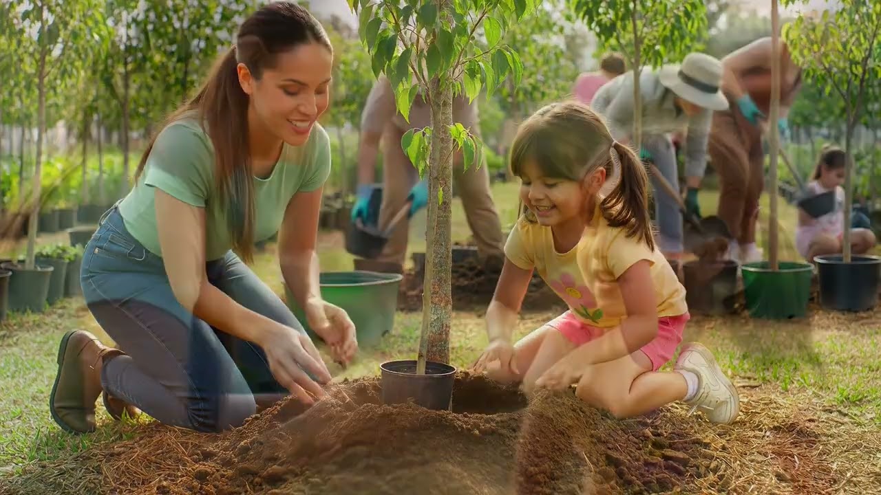 Jornada en vivero