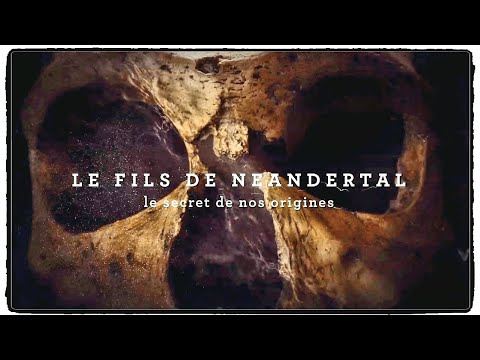 Le secret de nos origines