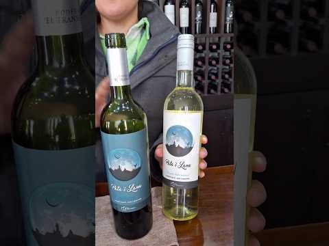 Bodega El Tránsito-Cafayate parte3 #paratiiiiiiiiiiiiiiiiiiiiiiiiii #travel #viral #bodegas #salta