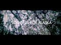 ● Looking For Alaska Trailer ●