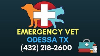 24 Hour Animal Hospital Odessa TX | Emergency Veterinary Clinic Odessa TX | (432) 218 2600