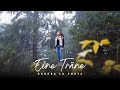 SANDRA LA PORTA EINE TRÄNE Prod By IOF Zayn Demir