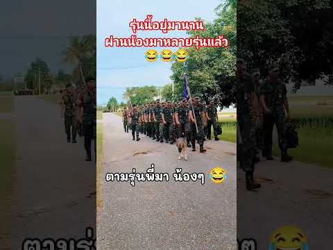 รุ่นนี้อยู่นาน ผ่านมาหลายรุ่นแล้ว😂 #ทหารไทย #สุนัข #shorts #viral #viralshorts #army #amazingmemes
