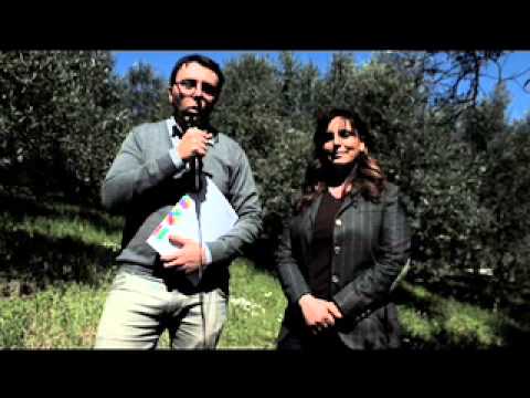 Ginnastica di ruga sotto occhi Affronti il pacco a tracce da anguille