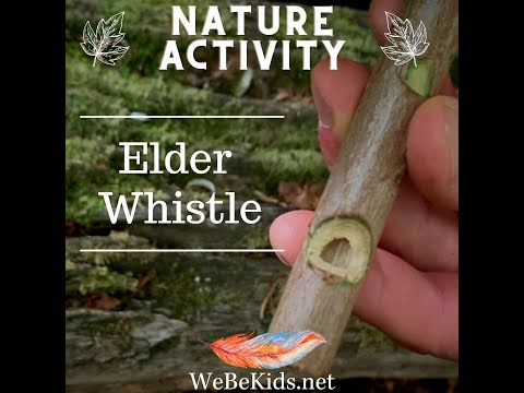 Make an Elder Whistle
