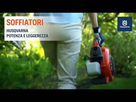 Come aumentare rapidamente la potenza prima del rapporto Come eccitare ragazza che non sapeva