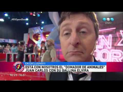 El domador de animales Juan Carlos y su gallina Elvira fracasaron - Peligro Sin Codificar