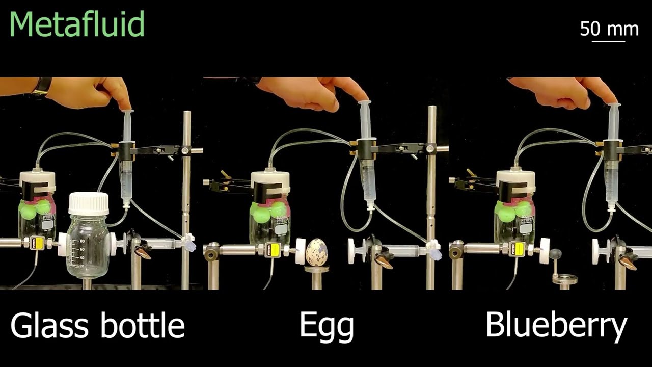 youtube video id=e8souFk2Ifw