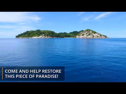 Protect Sea Turtles & Ecosystems in Seychelles