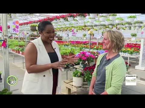 Put your Plan in Planting with Van Attas Greenhouse and Flower Shop