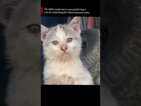 please Allah please please please say Ameen #cat #pets #selfcare #pets#kindness #catlovers#catreels