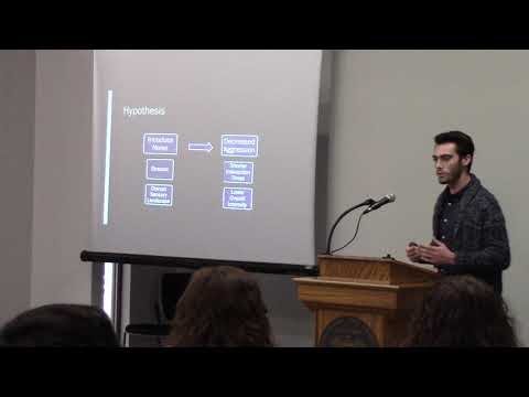 Turn It Down! The Effects of Acoustic Stimuli on Crayfish Fighting Behavior (Austin Reed)