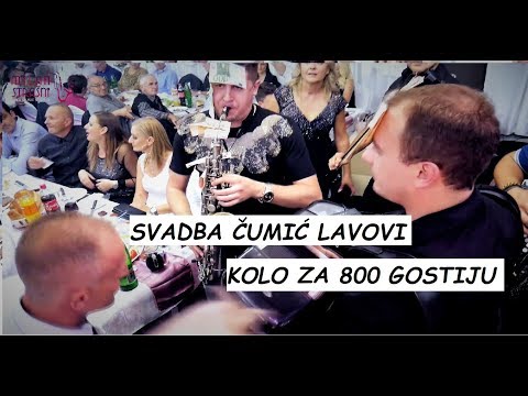 KOLO ZA 800 GOSTIJU (Cumic) / Ork. Lavovi / Laza / Milan Strasni