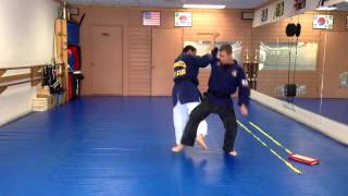 Hapkido Knife Defense 39