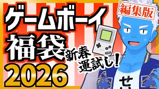 【ゲームボーイ福袋10本5980円】予め買っておいた福袋を正月に開封！【レトロゲーム福袋2026・VTuber】