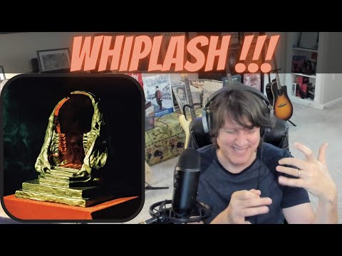 KING GIZZARD & THE LIZZARD WIZZARD | FIRST SOLO REACTION to Self - Immolate | (Music w/ Nick) 🤘🤘🤘🤘