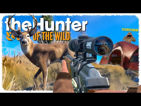 Starting my FIRST GRIND with @ScarecrowTheHunter  | theHunter: Call of the Wild