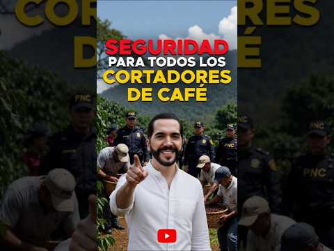 ☕🚓 Policías Acompañan la Corta del Café en San Salvador Sur