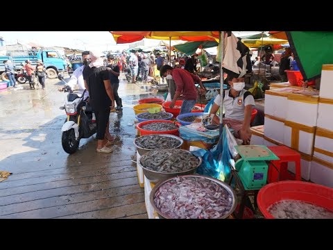 Amazing Site Distribute Fish & Seafood @Kilometers 9 Market - Walk Around Fish Market at Phsa Kilo 9