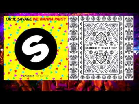 TJR ft. Savage Vs Garmiani - We Wanna Party Bomb A Drop (W&W Mashup)