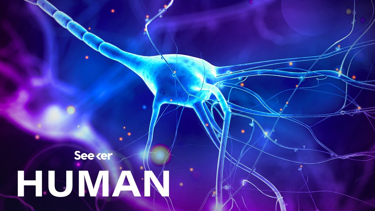 The Hidden Electrical World Inside Your Body