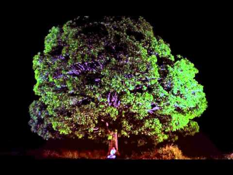 Soundless Sound of Ommm (Various Ragas)