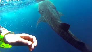 Как отдохнуть в Мексике?