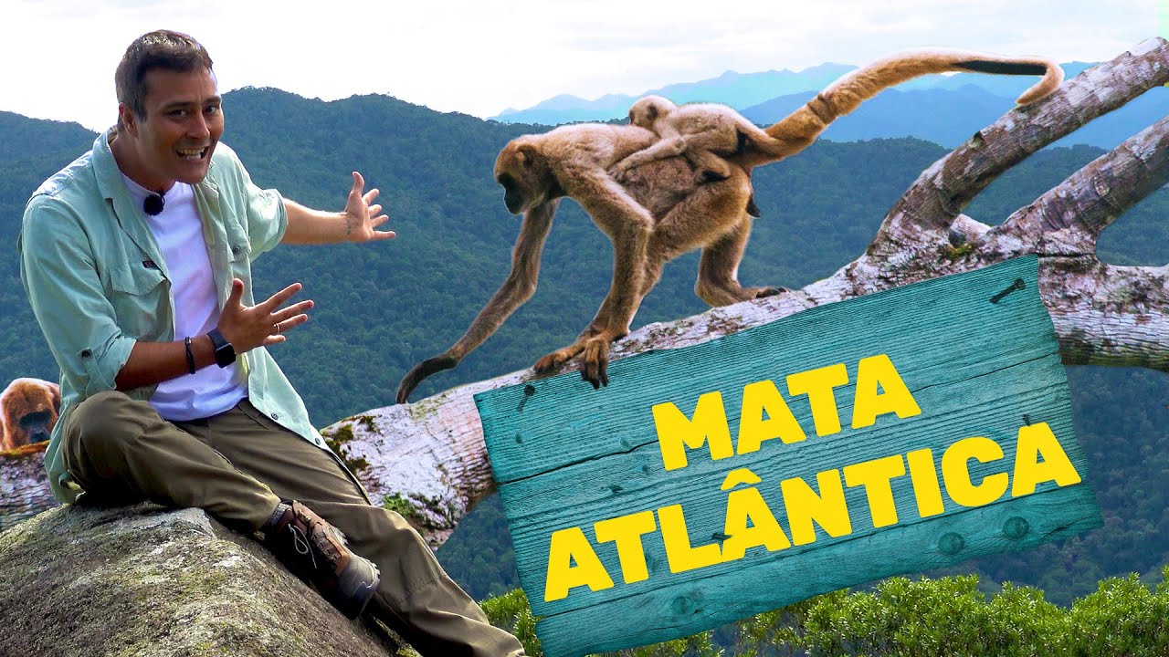 Mata Atlântica | Biomas do Brasil | Ep.8