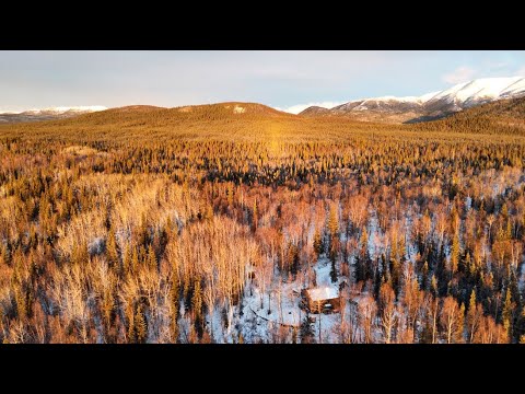 Prepping for Winter on Our Alaskan Homestead | Chainsaw Filing & Sourdough Pizza
