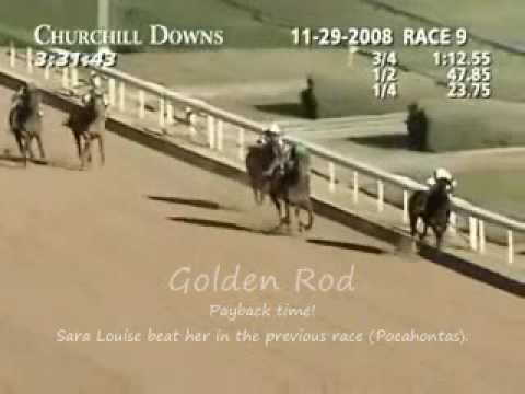 Rachel Alexandra - STARTS TO WIN MORE RACES