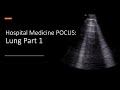 Hospital Medicine POCUS Lung Part 1