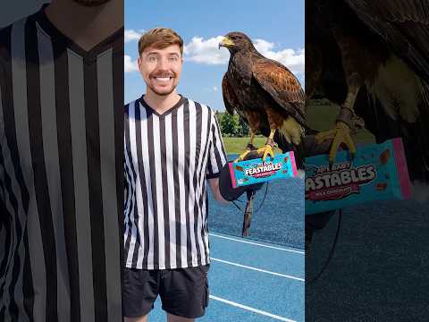 Can A Hawk Deliver Chocolate?