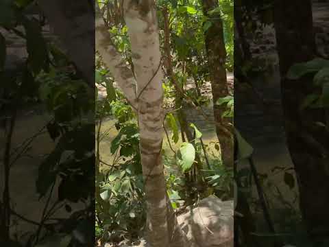 Pousada excelente em Aurora do Tocantins