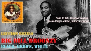 LECCION ESTILO BIG BILL BROONZY: BLACK, BROWN & WHITE