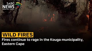 Wildfires | Fires continue to rage in the Kouga municipality, Eastern Cape