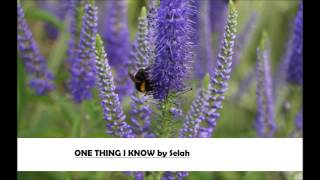 One Thing I Know by Selah