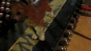 MIKE.P Solid Gold in studio NO FAKE YOUTUBERS here talent only