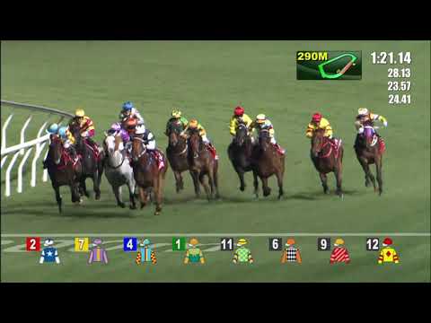 16/12/2020 (273) Delightful Laos - C L Chau