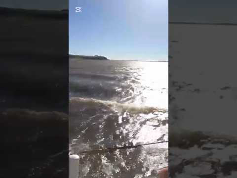 😱🚣 ¡Cruzamos el Río Negro en una balsa! ¡Una aventura que nunca olvidaremos! 🇺🇾