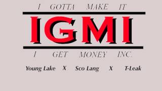 IGMI (YBL) - Purple (crustation)