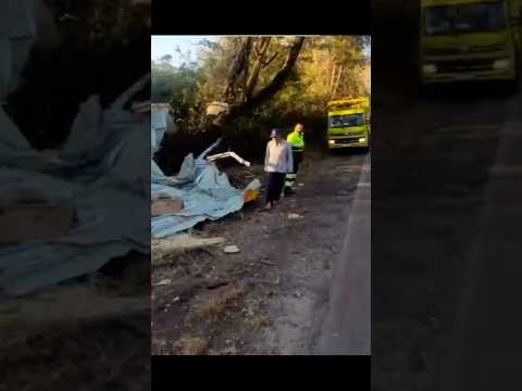 Caminhão dos Correios bate em árvore na BR-153 em Goiás 🚚📦