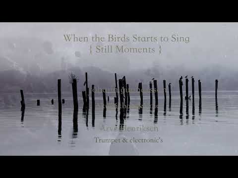 jóhann gunnarsson & Arve Henriksen   [ Still Moments ]