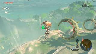 【ゼルダの伝説BoW】初見プレイでやっていきまーす！#９【switch】