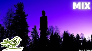 Relaxing Piano Music Free Relaxing Music Music2relax com Relaxing Piano Music Free Relaxing Music Music2relax com