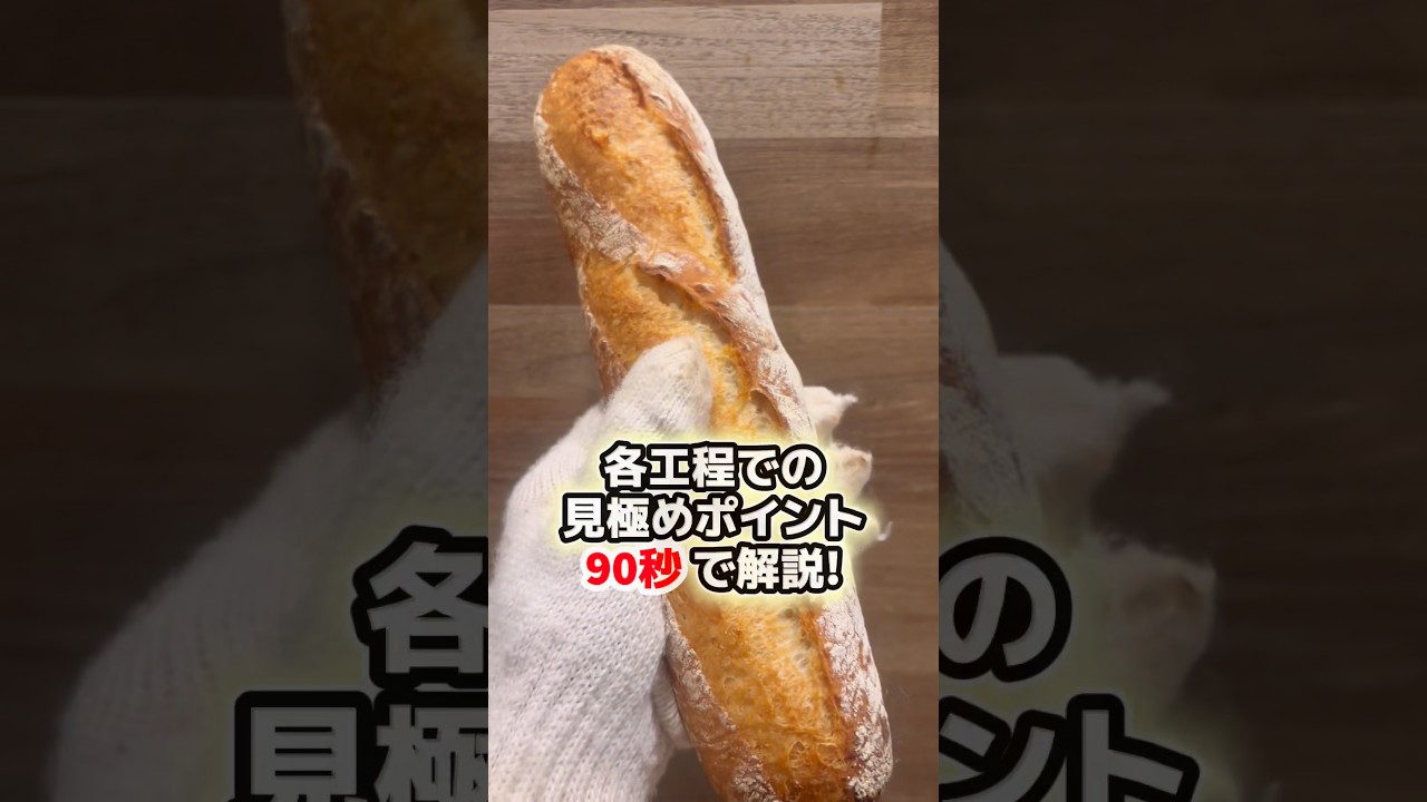 【パン作り】ハードパンに気泡を作る各工程での見極めポイントすべて解説　#理論 #元製粉会社研究職 #パン作り