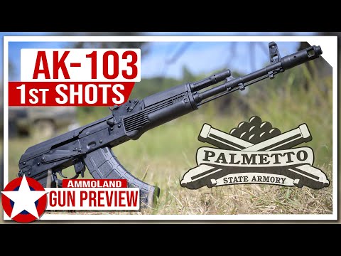 PSAK-103 Update and First Shots!