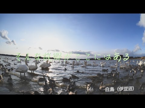 ここにしかない故郷