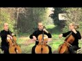 The Rains of Castamere trio cello (Game of ...