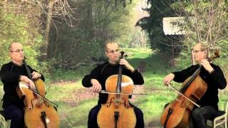 The Rains of Castamere trio cello (Game of Thrones)