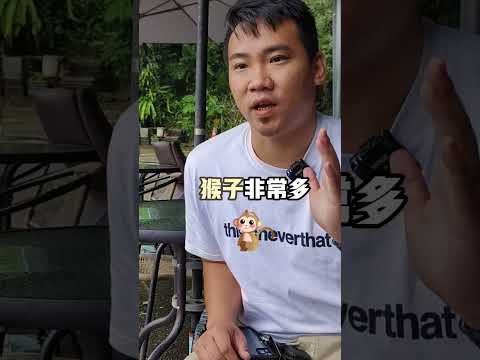 北宜禁忌
